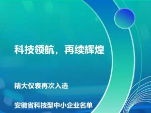 科技領航，再續輝煌！——合肥精大儀表股份有限公司再次入選安