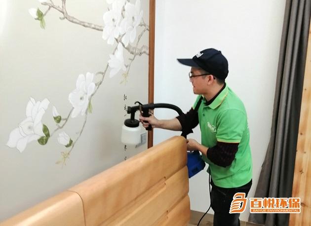 室內除甲醛植物百悅環(huán)保室內除甲醛公司