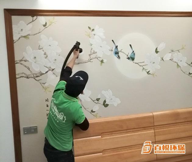 室內除甲醛植物百悅環(huán)保室內除甲醛公司