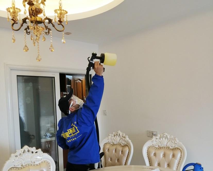 室內除甲醛植物百悅環(huán)保室內除甲醛公司