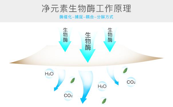 光觸媒、生物酶、空氣凈化器，哪家除甲醛公司效果好？