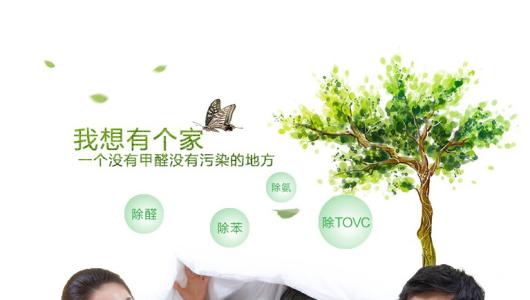 效果好、專業(yè)的光觸媒除甲醛產(chǎn)品有那些？